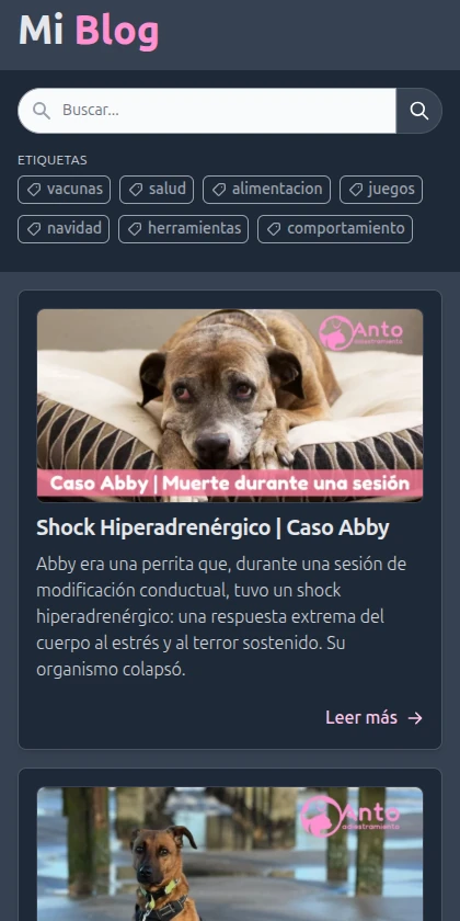 Blog